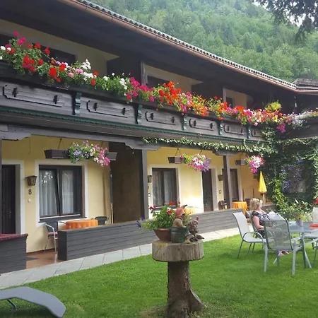 Alpen-appartementhof *