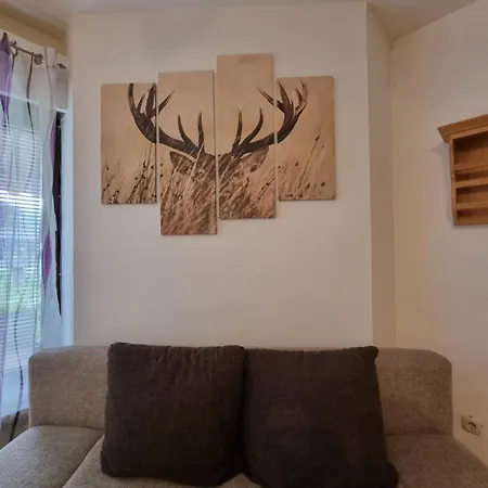 Alpen Hof Apartment Bad Hofgastein