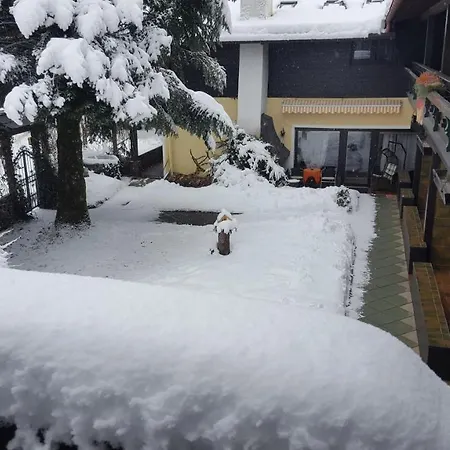 Alpen Hof *